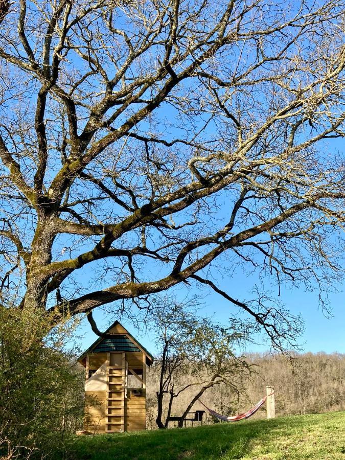 Cabane Bivouac Avec Echelle A L'Ombre Des Chenes Idrac-Respailles ภายนอก รูปภาพ